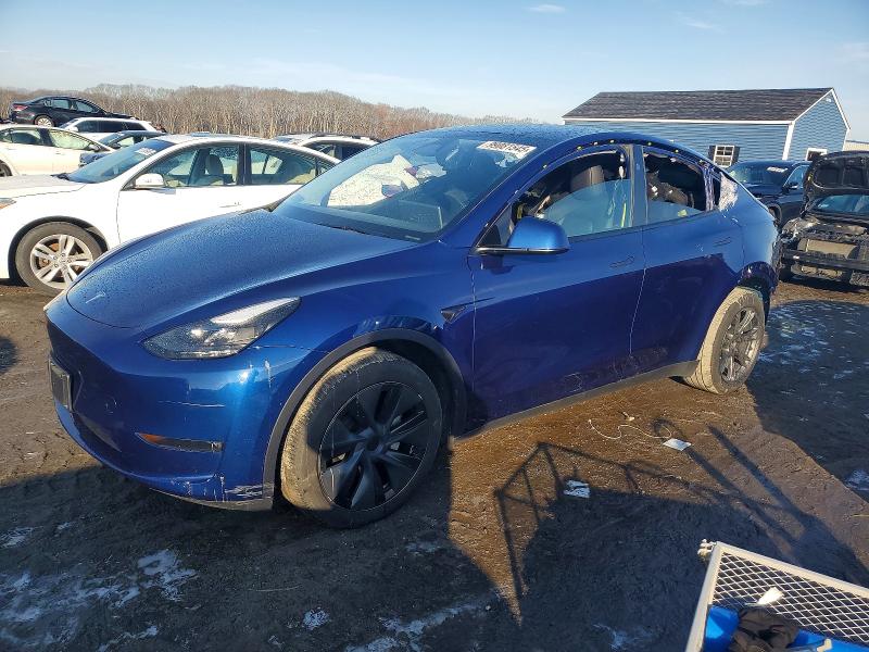 2024 TESLA MODEL Y — VIN 7SAYGDEE0RA301084