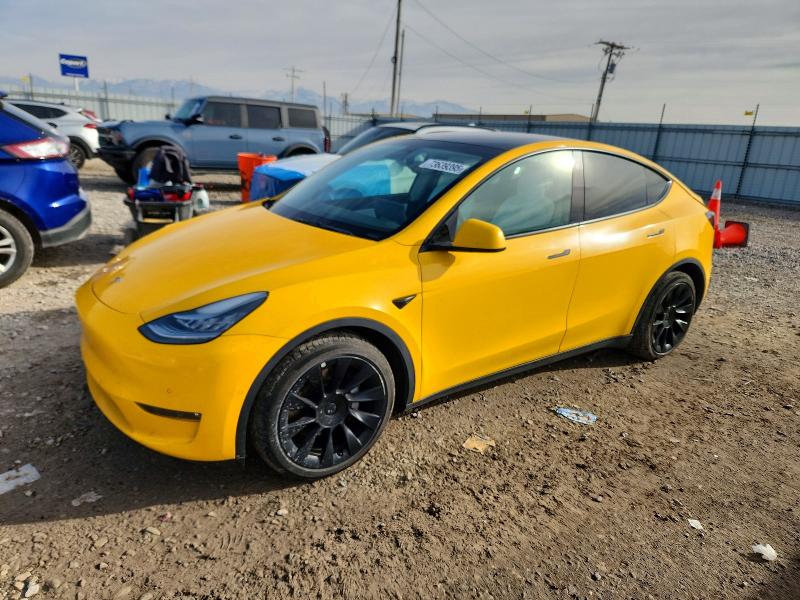 2021 TESLA MODEL Y — VIN 5YJYGDEE5MF151983