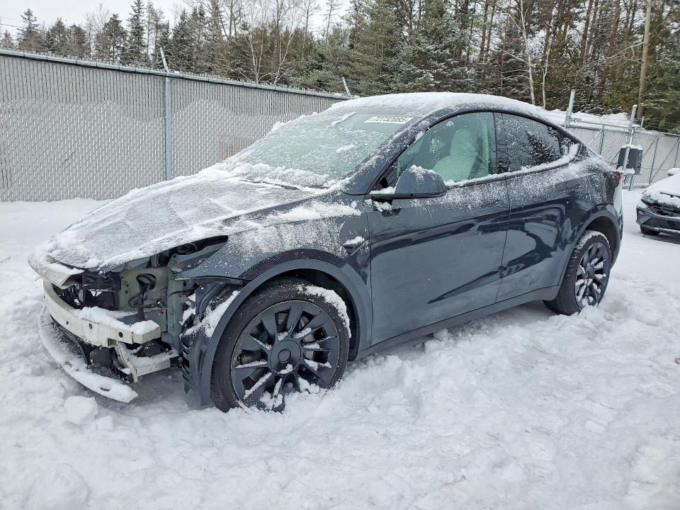 2024 TESLA MODEL Y — VIN 7SAYGDEE7RF230579