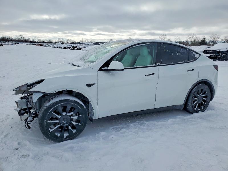 2023 TESLA MODEL Y — VIN 7SAYGAEE0PF695846