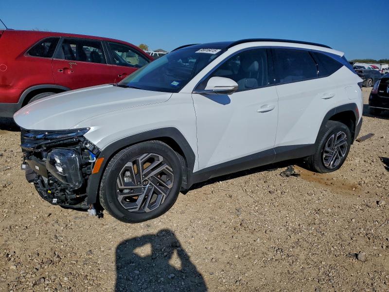 2025 HYUNDAI TUCSON LIM — VIN KM8JEDD15SU365653