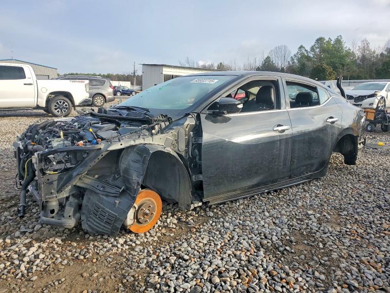 2023 NISSAN MAXIMA — VIN 1N4AA6CV0PC511461