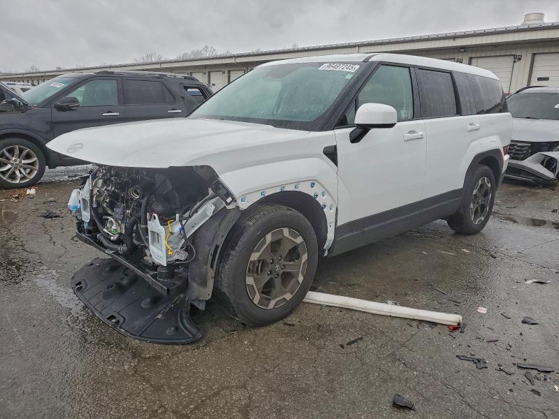 2025 HYUNDAI SANTA FE S — VIN 5NMP1DGL5SH081342