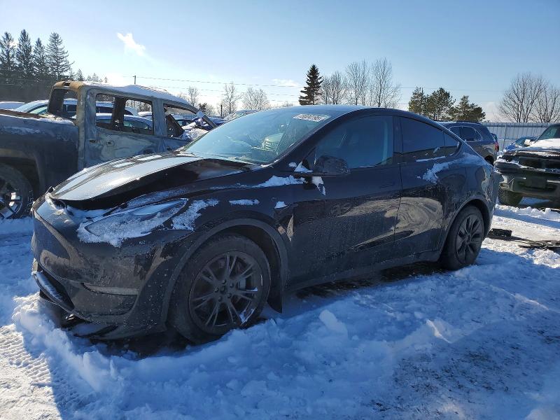2024 TESLA MODEL Y — VIN 7SAYGDEEXRF111053
