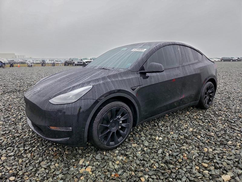 2023 TESLA MODEL Y — VIN 7SAYGAEE4PF632166