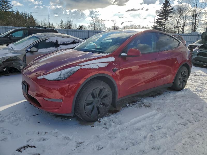 2025 TESLA MODEL Y — VIN 7SAYGDEE2SF283356