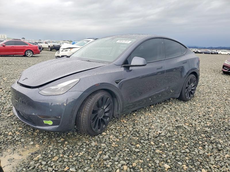 2022 TESLA MODEL Y — VIN 7SAYGDEF0NF409145