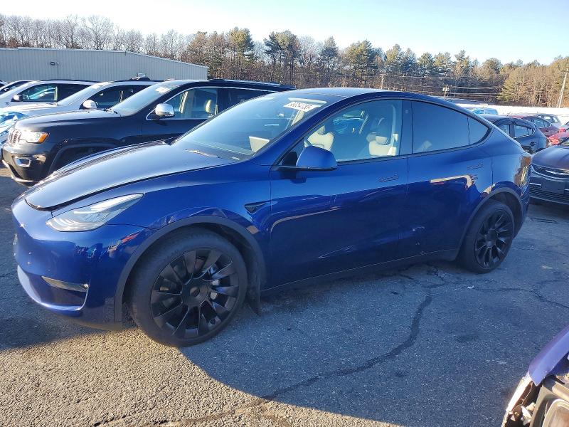 2023 TESLA MODEL Y — VIN 7SAYGDEE0PA115686