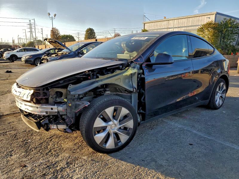 2024 TESLA MODEL Y — VIN 7SAYGDED5RF053246