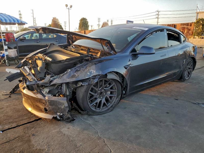 2025 TESLA MODEL 3 — VIN 5YJ3E1EA9SF907467