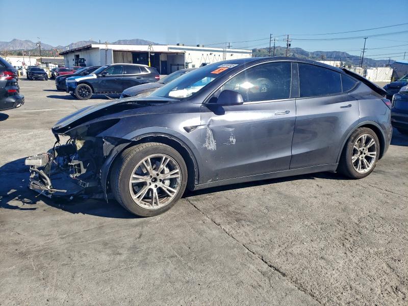 2024 TESLA MODEL Y — VIN 7SAYGDEE5RA238645