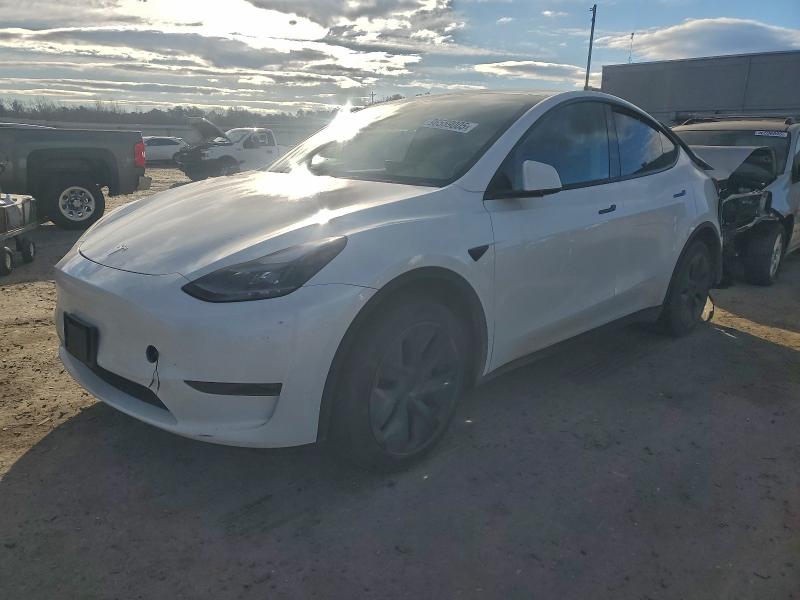 2025 TESLA MODEL Y — VIN 7SAYGDEE5SA337696