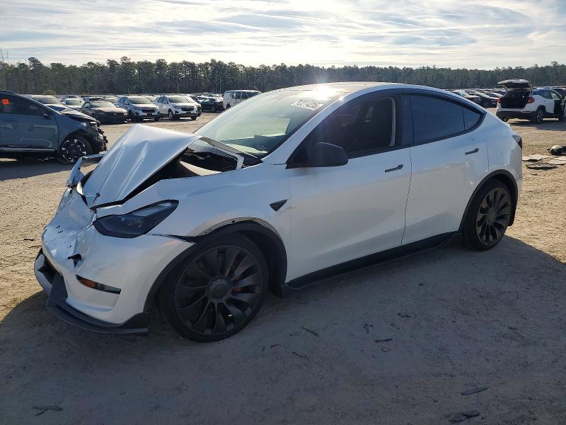 2023 TESLA MODEL Y — VIN 7SAYGDEF5PF669415
