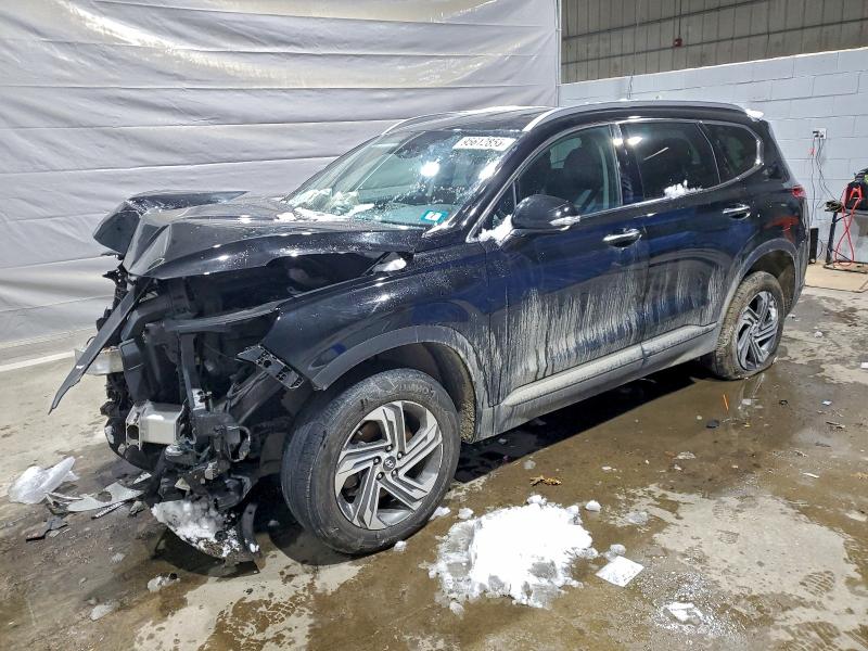 2023 HYUNDAI SANTA FE — VIN 5NMS2DAJ9PH593109