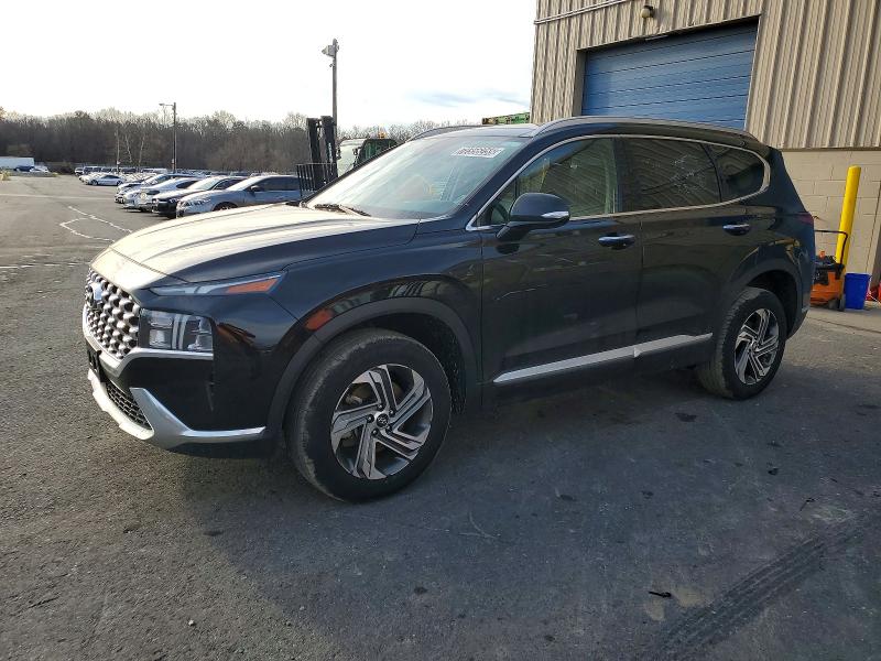 2023 HYUNDAI SANTA FE — VIN 5NMS3DAJ6PH531051