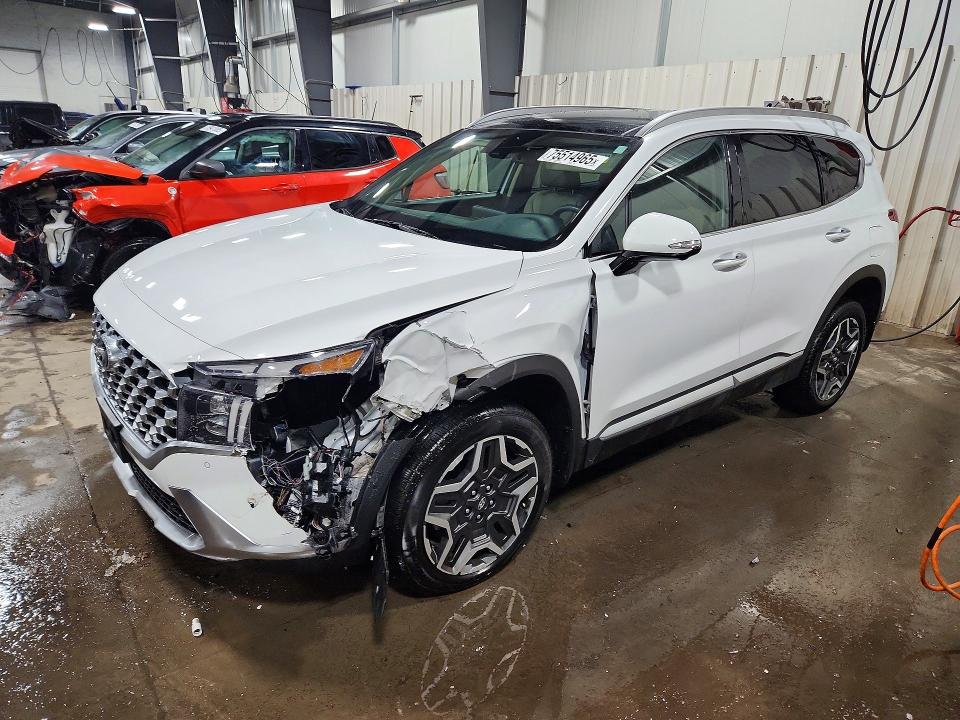 2023 HYUNDAI SANTA FE — VIN 5NMS4DAL2PH635695