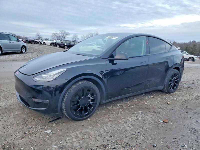 2022 TESLA MODEL Y — VIN 7SAYGDEE1NF446521
