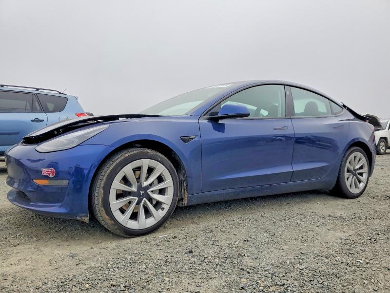 2023 TESLA MODEL 3 — VIN 5YJ3E1EA3PF643511