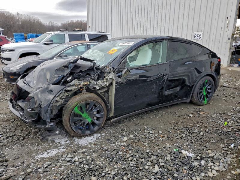 2024 TESLA MODEL Y — VIN 7SAYGDEE7RA292576