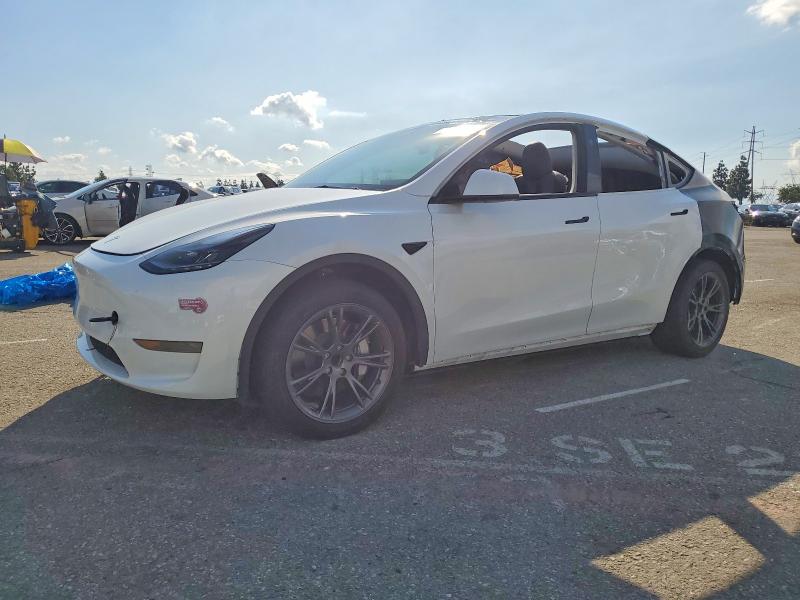 2024 TESLA MODEL Y — VIN 7SAYGDED2RF164076