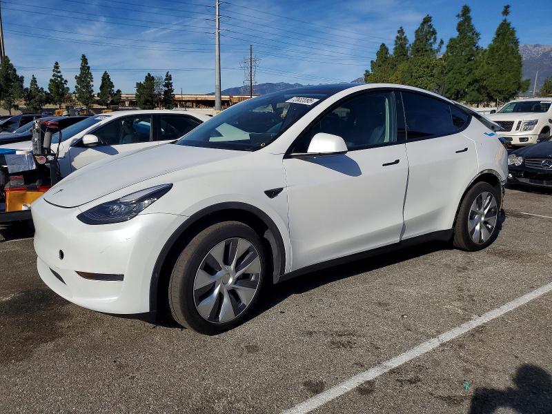 2023 TESLA MODEL Y — VIN 7SAYGDEE0PA035806