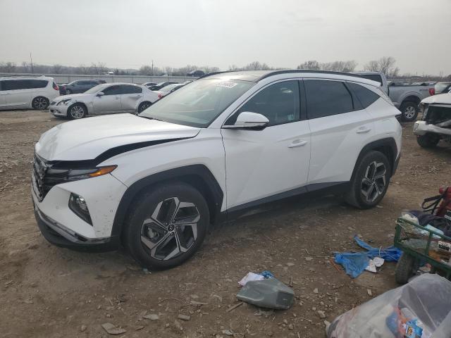 2024 HYUNDAI TUCSON LIM — VIN 5NMJE3DE1RH439167