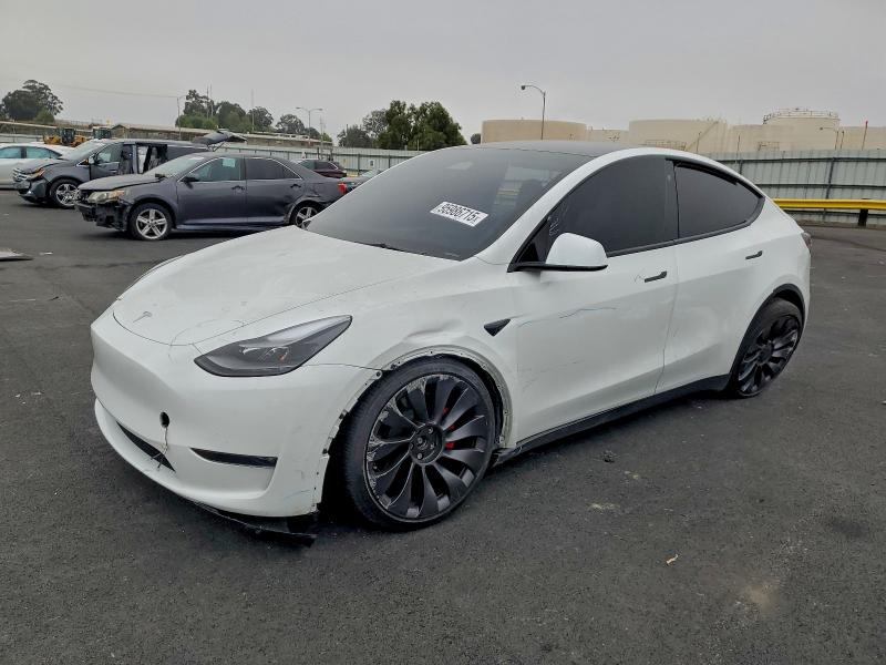 2023 TESLA MODEL Y — VIN 7SAYGDEF1PF757040