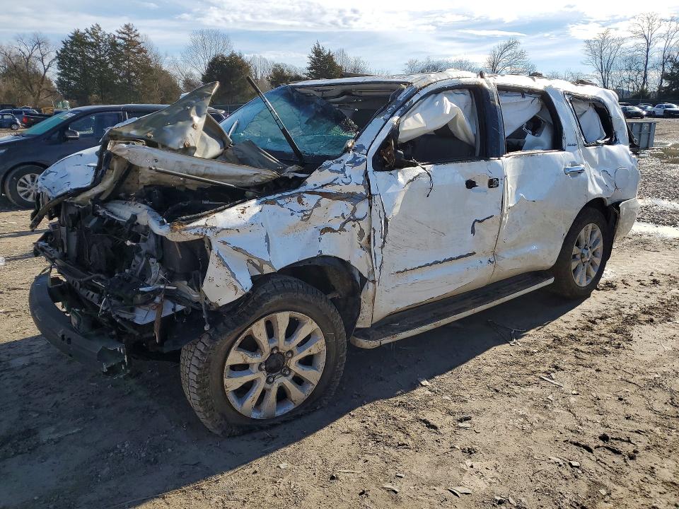 2015 TOYOTA SEQUOIA — VIN 5TDDW5G11FS126157