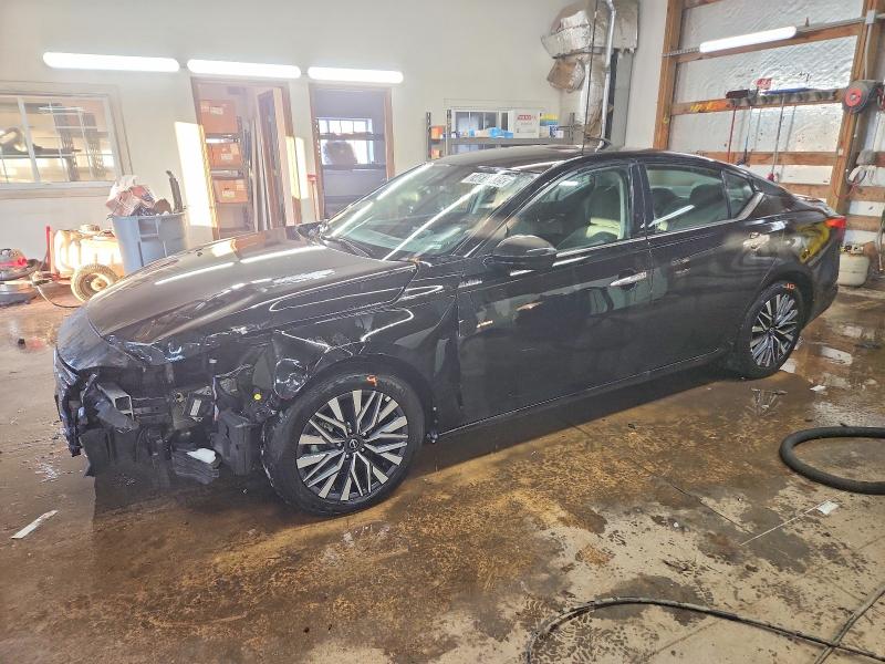 2025 NISSAN ALTIMA SV — VIN 1N4BL4DV7SN370841