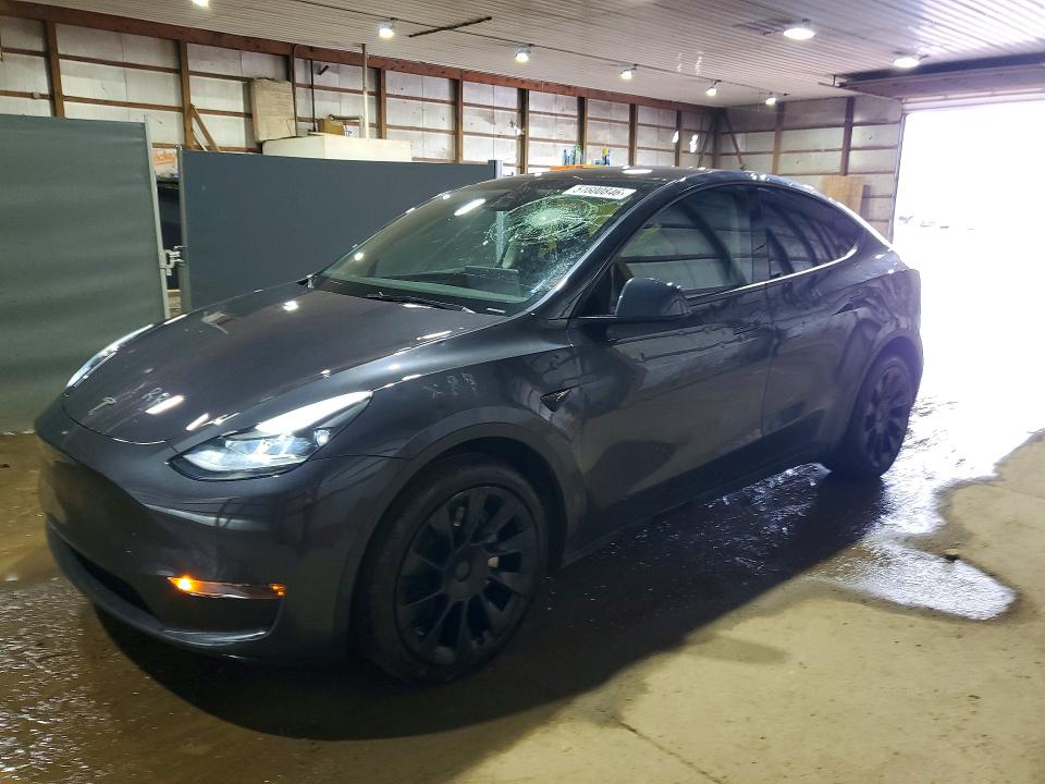 2024 TESLA MODEL Y — VIN 7SAYGDEE3RA252267