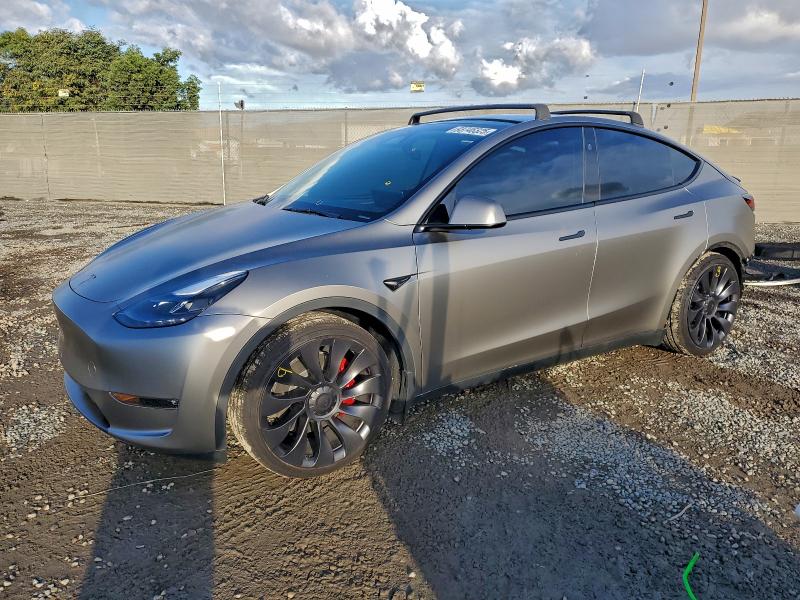 2024 TESLA MODEL Y — VIN 7SAYGDEFXRF048884