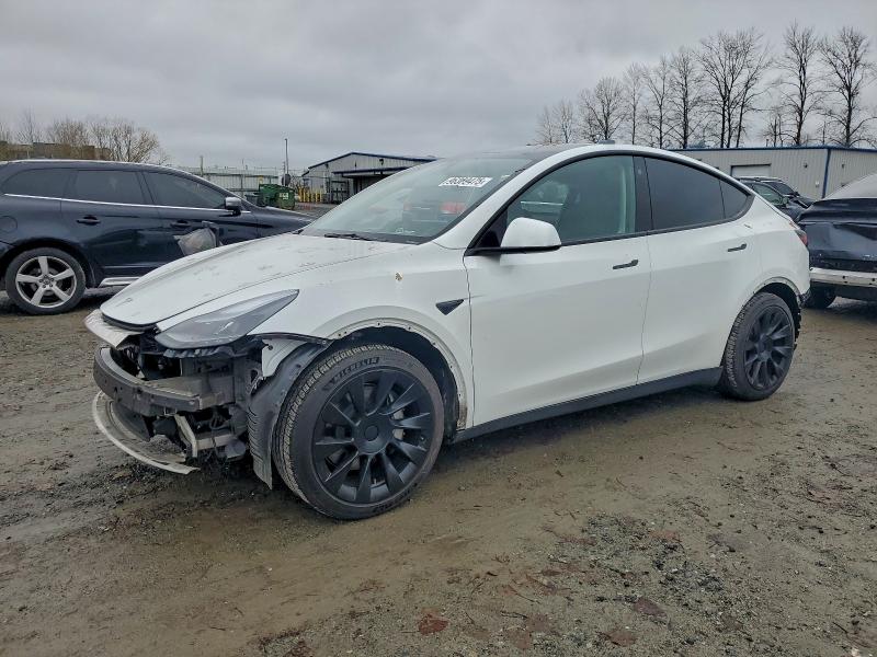 2023 TESLA MODEL Y — VIN 7SAYGDEE8PF697779