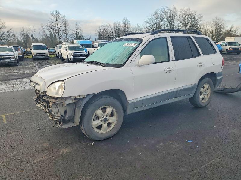 2005 HYUNDAI SANTA FE G — VIN KM8SC73E35U920247
