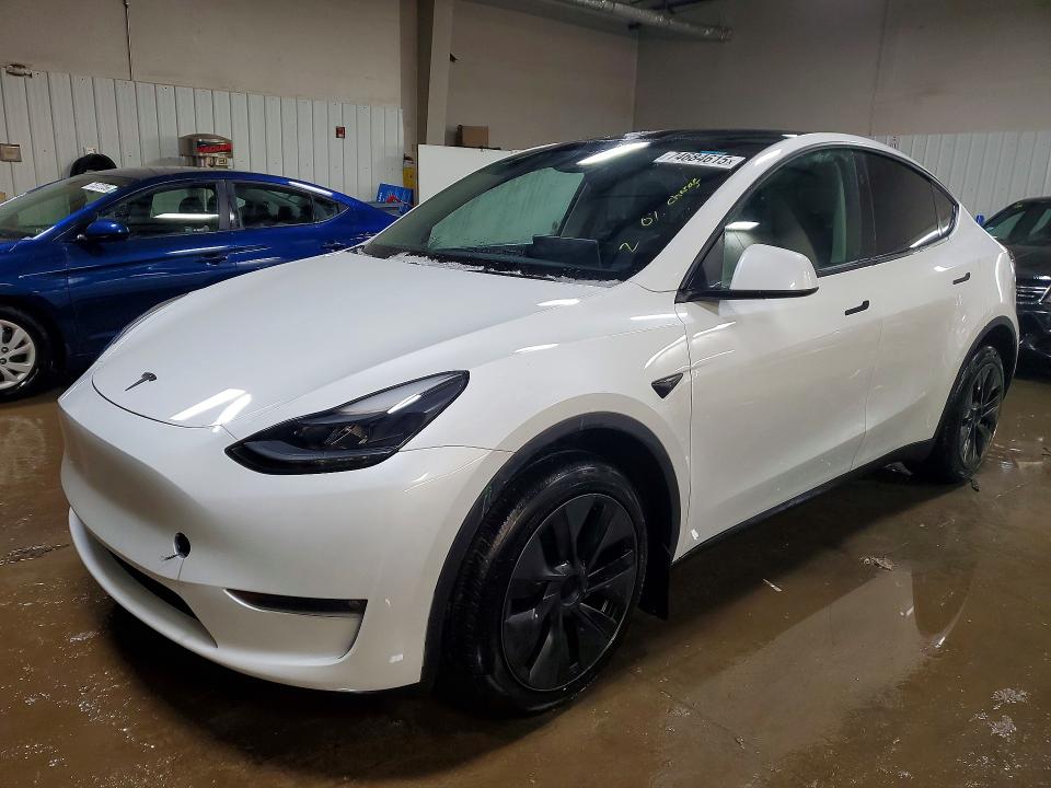 2024 TESLA MODEL Y — VIN 7SAYGDEE0RF132980