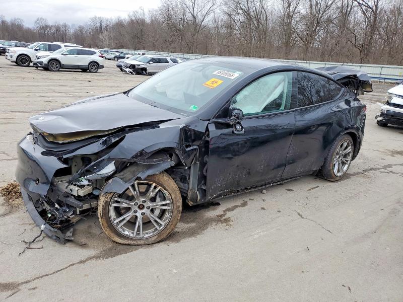 2023 TESLA MODEL Y — VIN 7SAYGDEE1PF690656