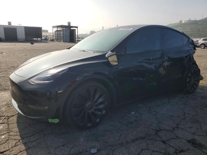 2023 TESLA MODEL Y — VIN 7SAYGDEF3PF698704