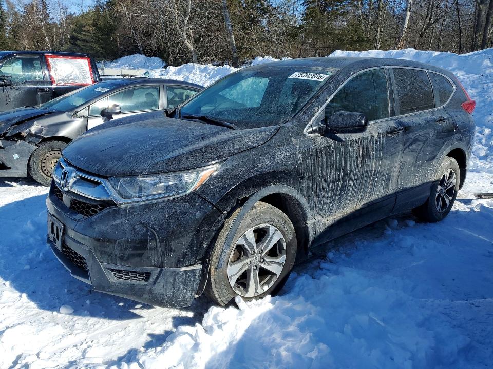 2019 HONDA CR-V — VIN 2HKRW2H20KH101987