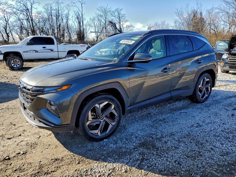 2023 HYUNDAI TUCSON LIM — VIN 5NMJECAE0PH201781