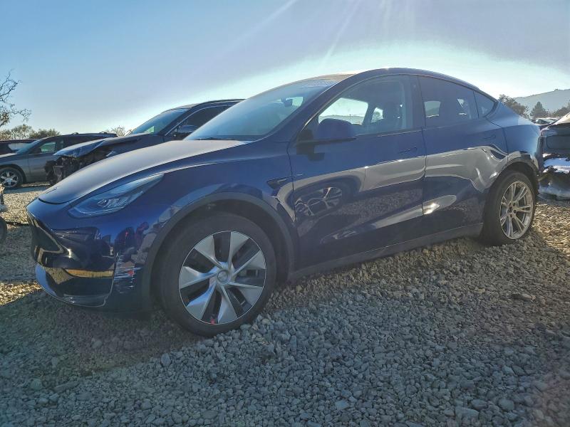 2021 TESLA MODEL Y — VIN 5YJYGAED3MF176547