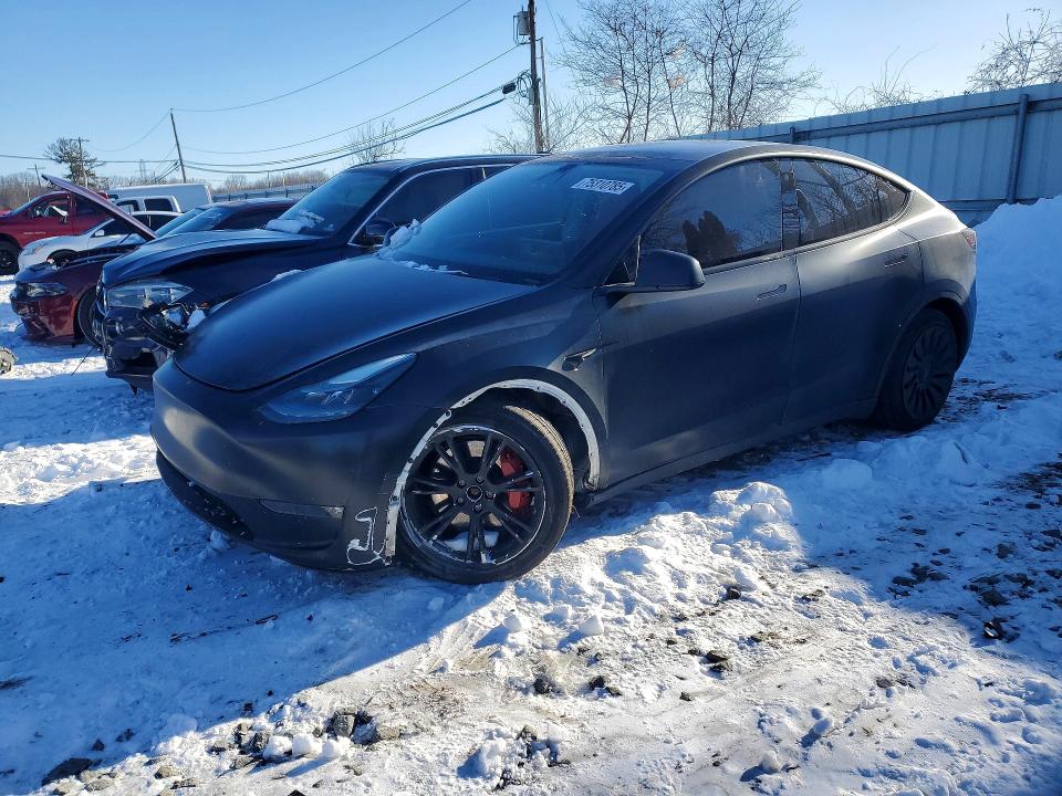 2023 TESLA MODEL Y — VIN 7SAYGDEE0PF663531