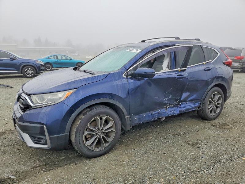 2020 HONDA CR-V — VIN 5J6RW1H53LA006556