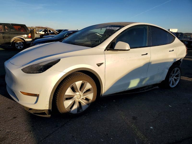 2023 TESLA MODEL Y — VIN 7SAYGDEE1PF890629