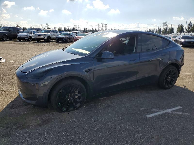 2022 TESLA MODEL Y — VIN 7SAYGDEE0NA019618
