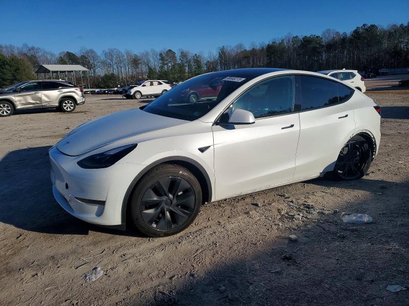 2024 TESLA MODEL Y — VIN 7SAYGDED1RF182598