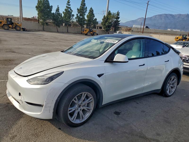 2023 TESLA MODEL Y — VIN 7SAYGDEE2PF621085
