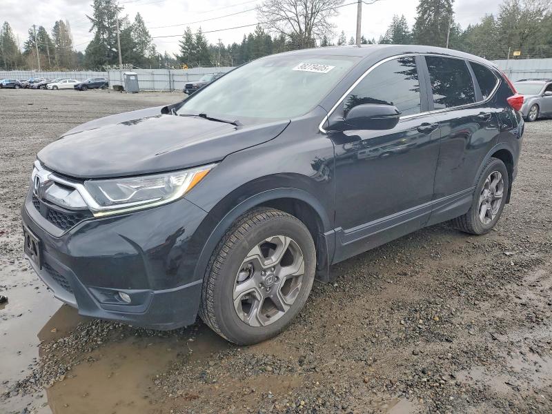 2019 HONDA CR-V — VIN JHLRW2H83KX004262
