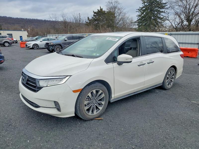 2024 HONDA ODYSSEY — VIN 5FNRL6H68RB060794