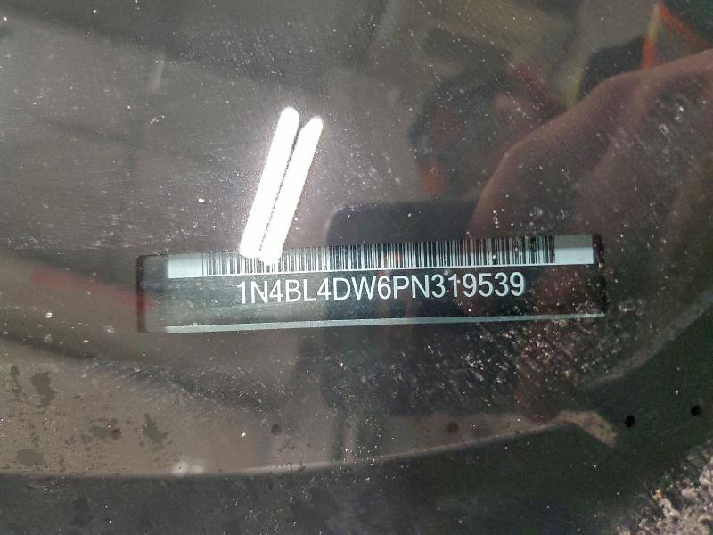 1N4BL4DW6PN319539
