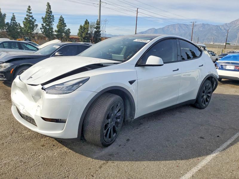 2023 TESLA MODEL Y — VIN 7SAYGDEE0PA113565