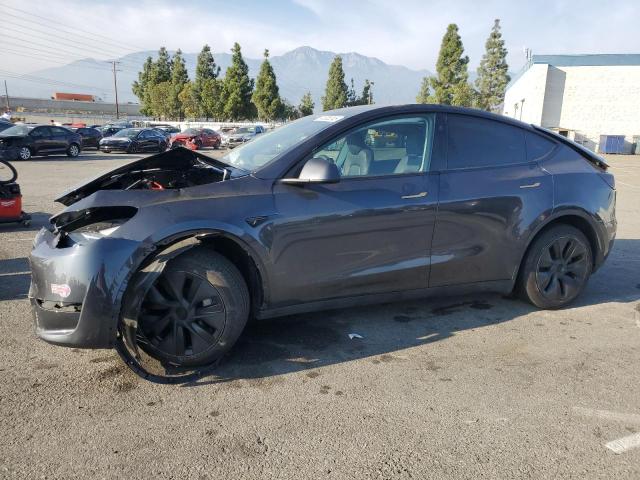 2024 TESLA MODEL Y — VIN 7SAYGDED9RF113822